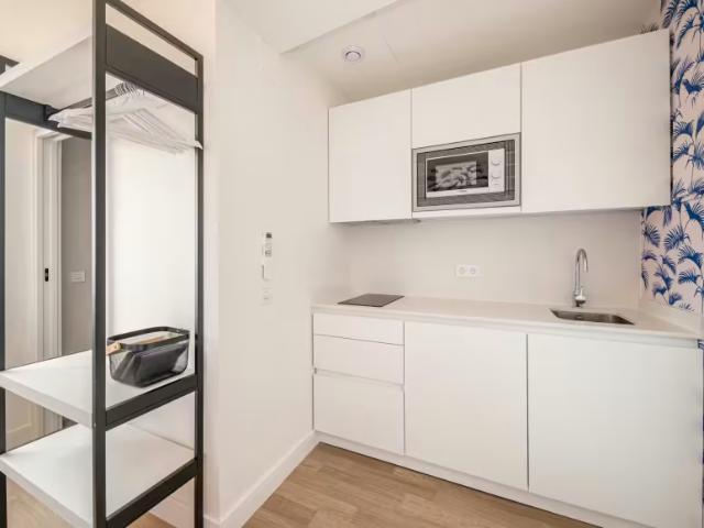 Alquiler 1 Dormitorio Shared Living/Roommate Málaga Málaga DS100309718