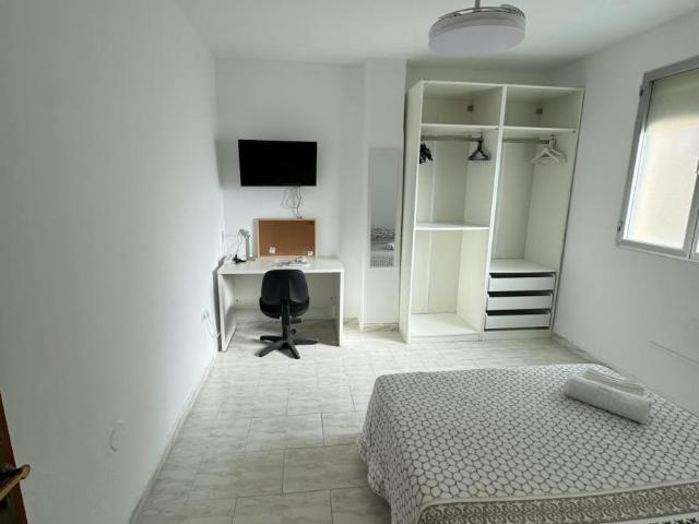 Alquiler 1 Dormitorio Shared Living/Roommate Málaga Málaga DS101775571