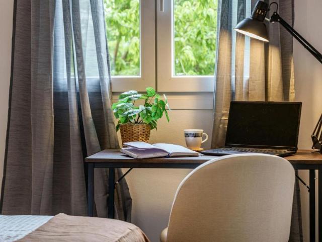 Alquiler 1 Dormitorio Shared Living/Roommate Málaga Málaga DS101843686