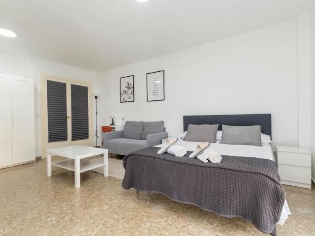 Alquiler 1 Dormitorio Shared Living/Roommate Málaga Málaga DS101844386