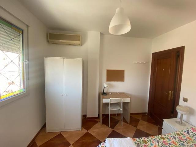 Alquiler 1 Dormitorio Shared Living/Roommate Málaga Málaga DS101988938