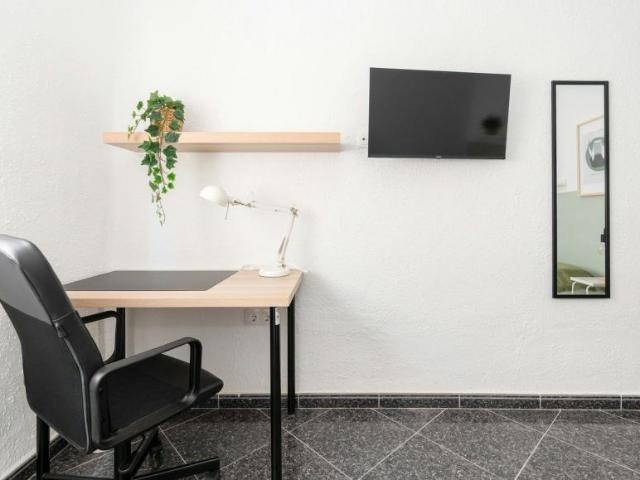 Alquiler 1 Dormitorio Shared Living/Roommate Málaga Málaga DS102850190