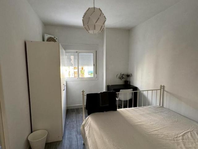 Alquiler 1 Dormitorio Shared Living/Roommate Málaga Málaga DS102855451