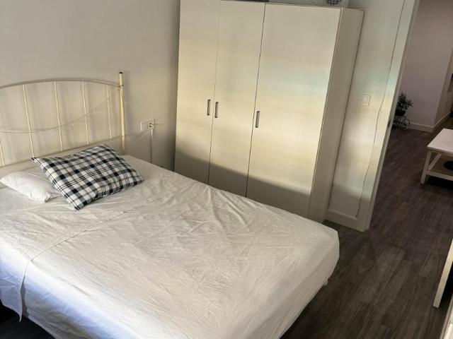 Alquiler 1 Dormitorio Shared Living/Roommate Málaga Málaga DS102855457