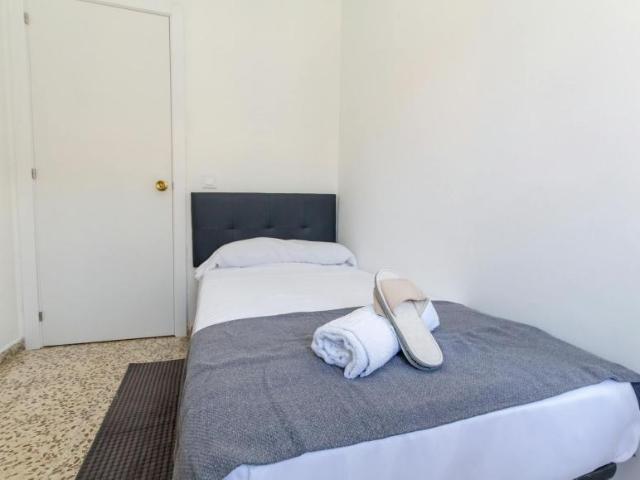 Alquiler 1 Dormitorio Shared Living/Roommate Málaga Málaga DS102885133
