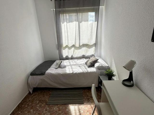 Alquiler 1 Dormitorio Shared Living/Roommate Málaga Málaga DS102885265
