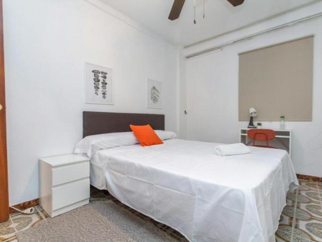 Alquiler 1 Dormitorio Shared Living/Roommate Málaga Málaga DS102367484
