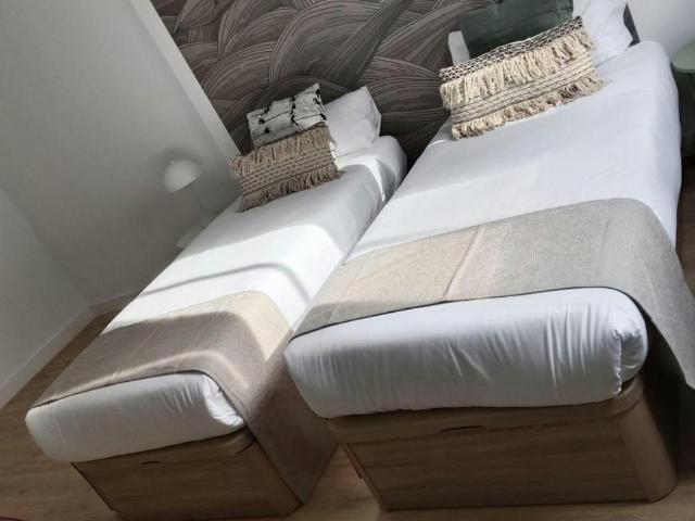 Alquiler 1 Dormitorio Shared Living/Roommate Málaga Málaga DS102399724