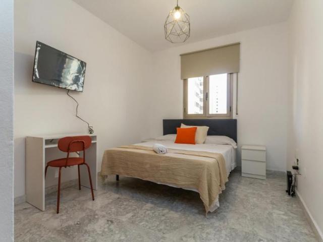 Alquiler 1 Dormitorio Shared Living/Roommate Málaga Málaga DS103695974