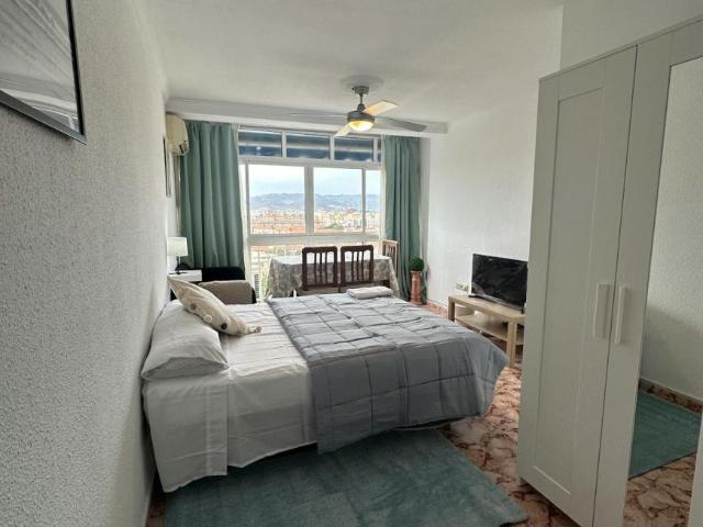 Alquiler 1 Dormitorio Shared Living/Roommate Málaga Málaga DS103696077