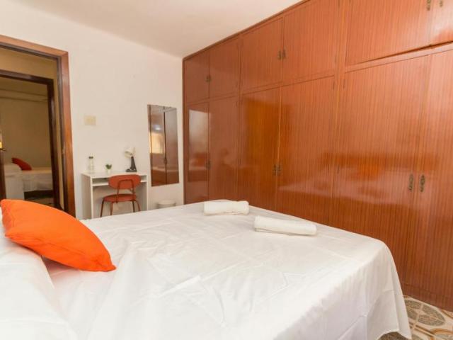 Alquiler 1 Dormitorio Shared Living/Roommate Málaga Málaga DS103696089