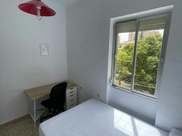 Alquiler 1 Dormitorio Shared Living/Roommate Málaga Málaga DS103696179