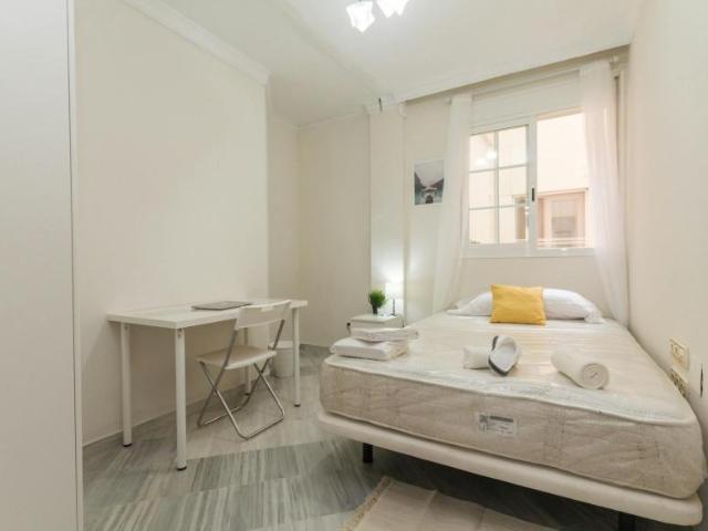 Alquiler 1 Dormitorio Shared Living/Roommate Málaga Málaga DS103696229