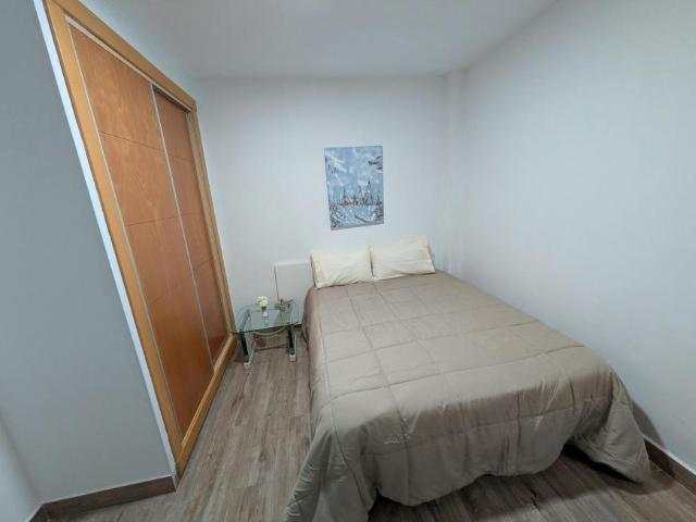 Alquiler 1 Dormitorio Shared Living/Roommate Málaga Málaga DS103959575