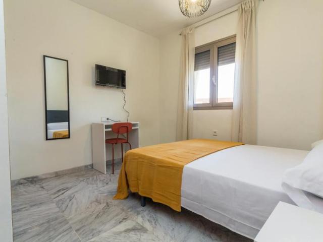 Alquiler 1 Dormitorio Shared Living/Roommate Málaga Málaga DS103302548