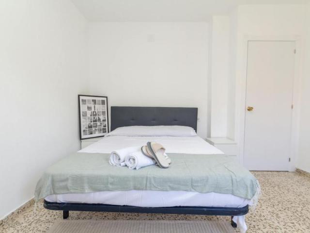 Alquiler 1 Dormitorio Shared Living/Roommate Málaga Málaga DS103339374