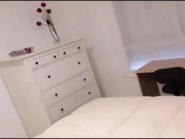 Alquiler 1 Dormitorio Shared Living/Roommate Malaga Malaga DS103381917