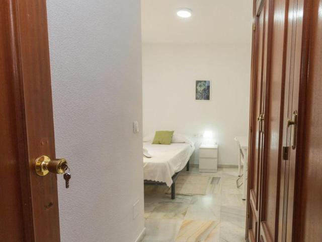 Alquiler 1 Dormitorio Shared Living/Roommate Málaga Málaga DS103397079