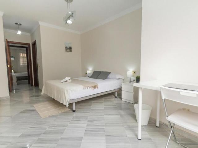 Alquiler 1 Dormitorio Shared Living/Roommate Málaga Málaga DS104784155
