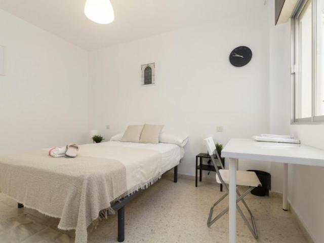 Alquiler 1 Dormitorio Shared Living/Roommate Málaga Málaga DS104797682