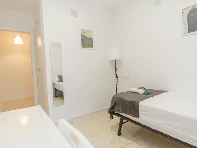 Alquiler 1 Dormitorio Shared Living/Roommate Málaga Málaga DS104797684
