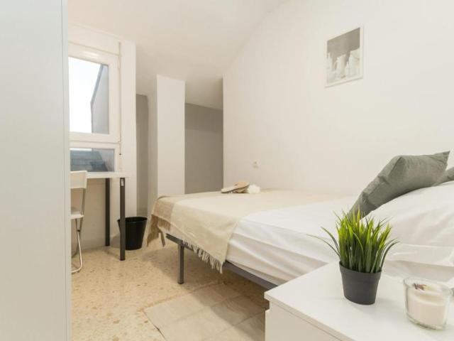 Alquiler 1 Dormitorio Shared Living/Roommate Málaga Málaga DS104797686