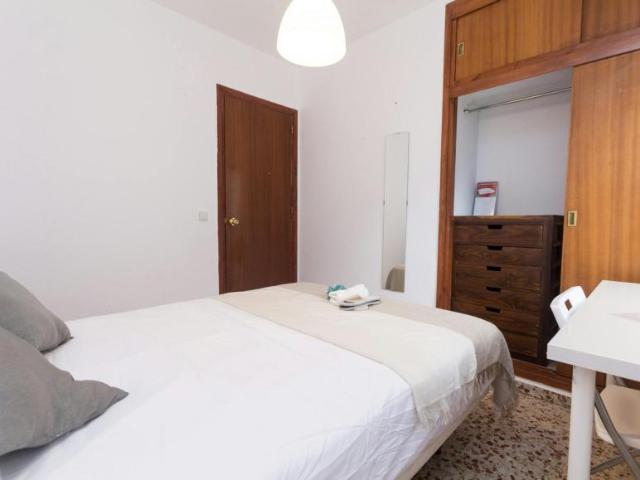Alquiler 1 Dormitorio Shared Living/Roommate Málaga Málaga DS104797690