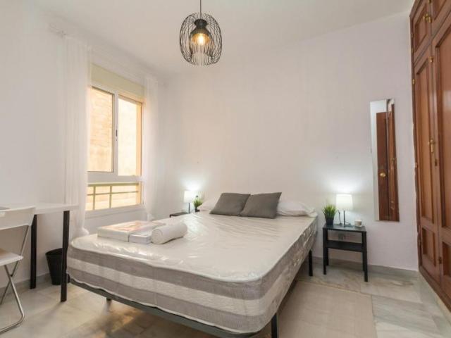 Alquiler 1 Dormitorio Shared Living/Roommate Málaga Málaga DS104797736