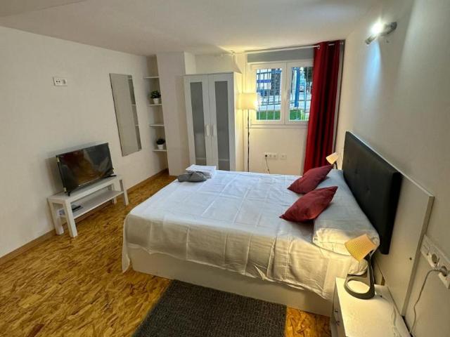 Alquiler 1 Dormitorio Shared Living/Roommate Málaga Málaga DS104797742