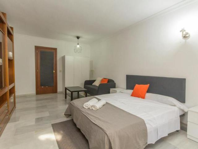 Alquiler 1 Dormitorio Shared Living/Roommate Málaga Málaga DS104797192