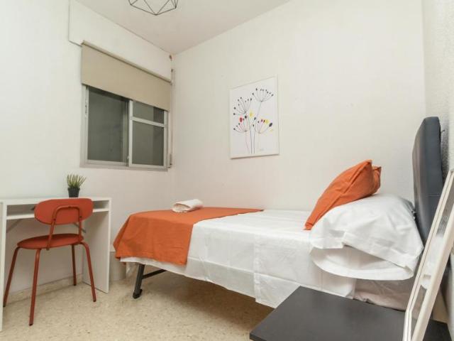 Alquiler 1 Dormitorio Shared Living/Roommate Málaga Málaga DS104797198