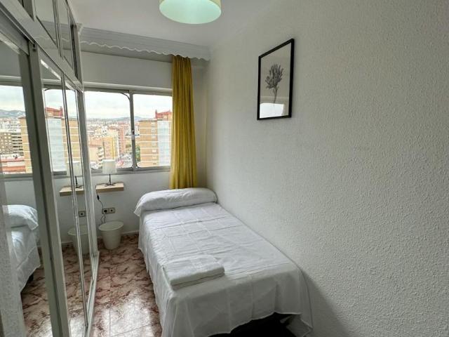 Alquiler 1 Dormitorio Shared Living/Roommate Málaga Málaga DS104797396