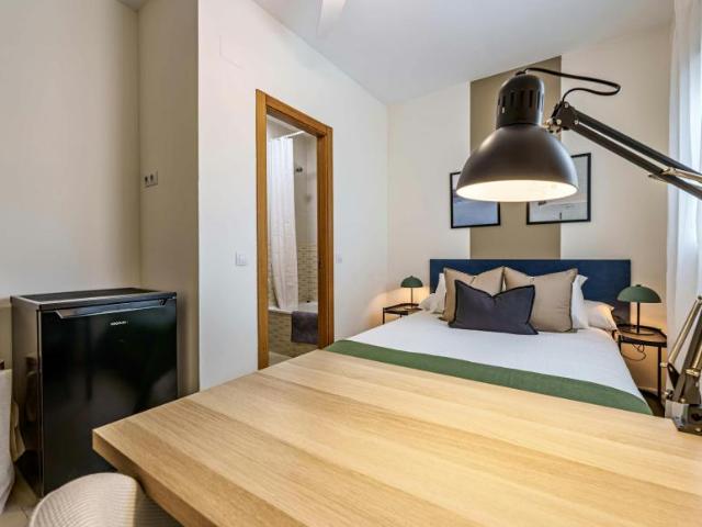 Alquiler 1 Dormitorio Shared Living/Roommate Málaga Málaga DS104225370