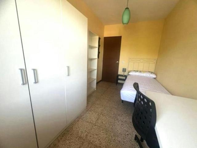 Alquiler 1 Dormitorio Shared Living/Roommate Móstoles Móstoles DLS100716098