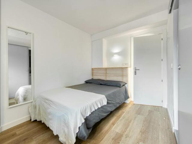 Alquiler 1 Dormitorio Shared Living/Roommate Oviedo Oviedo DLS102771821