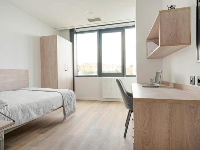 Alquiler 1 Dormitorio Shared Living/Roommate Oviedo Oviedo DS91454667
