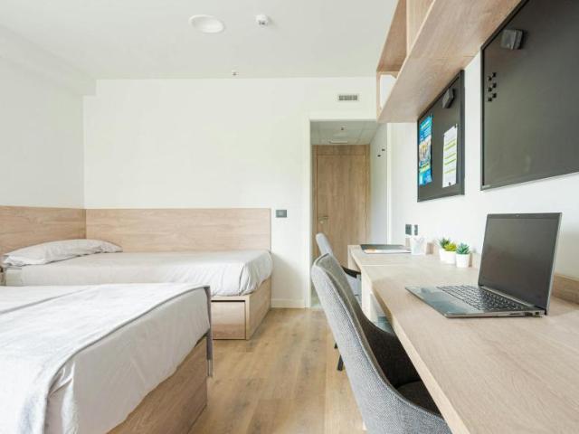 Alquiler 1 Dormitorio Shared Living/Roommate Oviedo Oviedo DS91454671