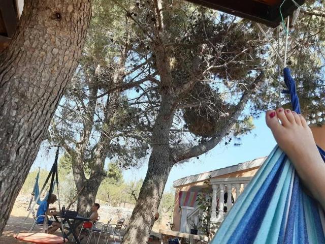 Alquiler 1 Dormitorio Shared Living/Roommate Alcublas Alcublas DLS101950992