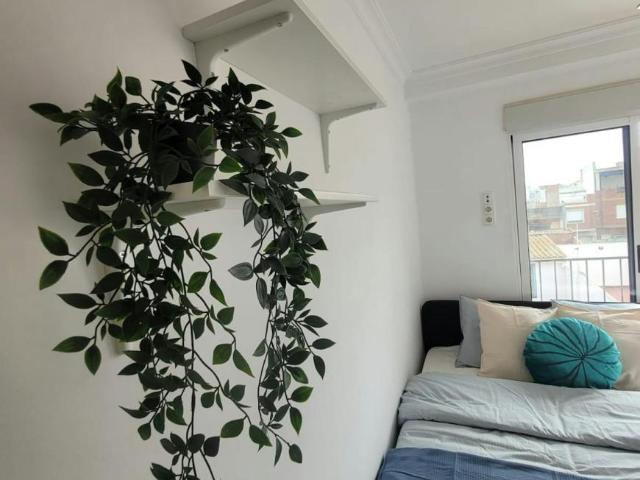 Alquiler 1 Dormitorio Shared Living/Roommate Albal Albal DS102884979