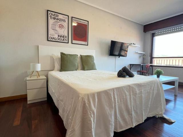 Alquiler 1 Dormitorio Shared Living/Roommate Algorta Algorta DS102849097