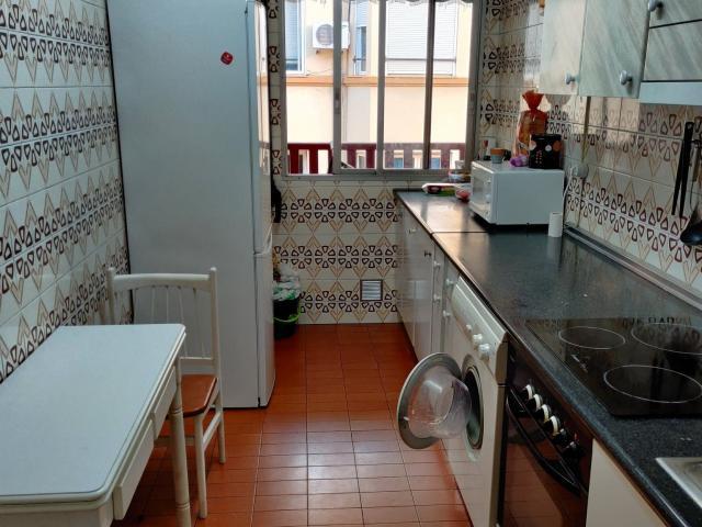 Alquiler 1 Dormitorio Shared Living/Roommate Alhama De Aragón Alhama De Aragón DLS65785444