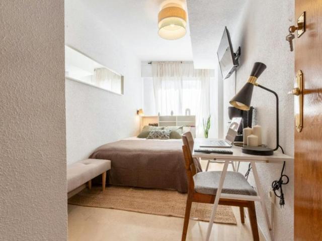 Alquiler 1 Dormitorio Shared Living/Roommate Alicante Alicante DLS100232116