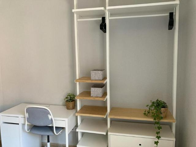Alquiler 1 Dormitorio Shared Living/Roommate Alicante Alicante DLS100570936