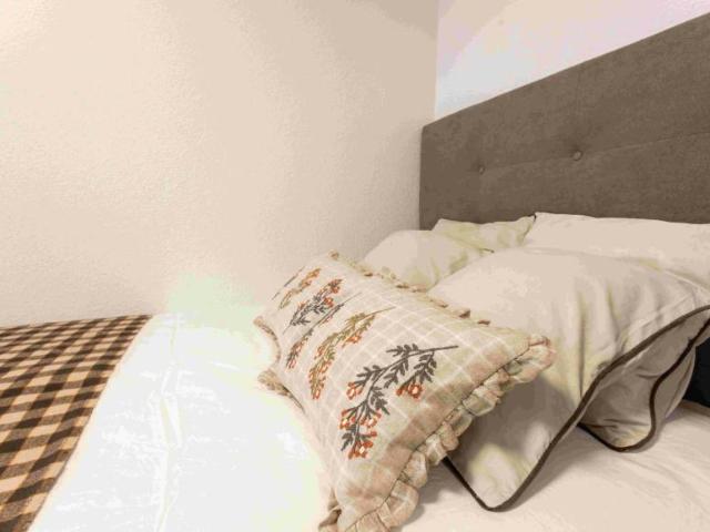 Alquiler 1 Dormitorio Shared Living/Roommate Alicante Alicante DLS100635368
