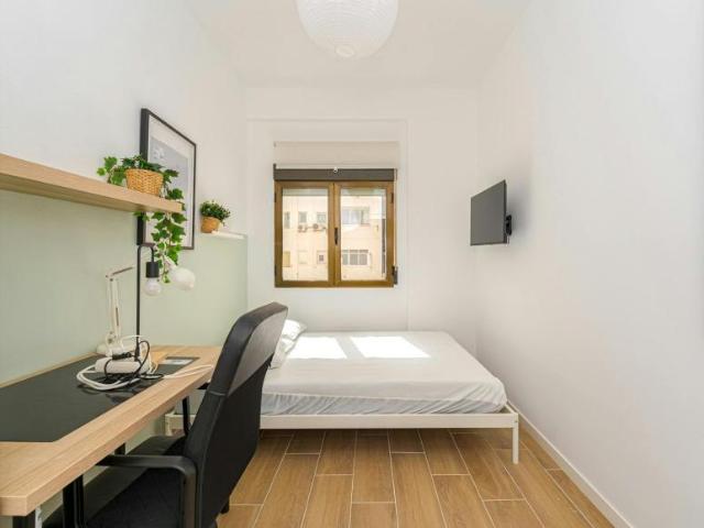 Alquiler 1 Dormitorio Shared Living/Roommate Alicante Alicante DLS100715408