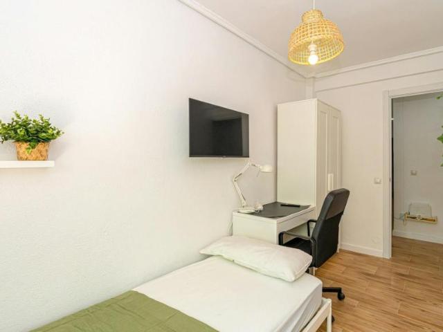 Alquiler 1 Dormitorio Shared Living/Roommate Alicante Alicante DLS100715752