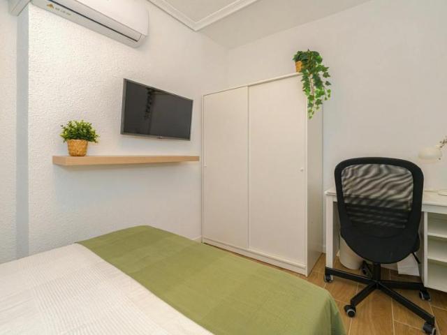 Alquiler 1 Dormitorio Shared Living/Roommate Alicante Alicante DLS101190136