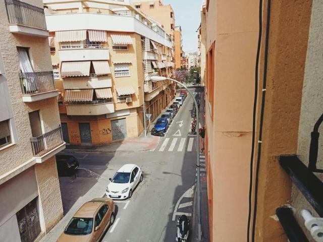 Alquiler 1 Dormitorio Shared Living/Roommate Alicante Alicante DLS101916135