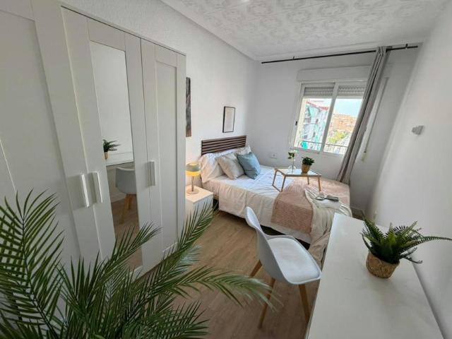 Alquiler 1 Dormitorio Shared Living/Roommate Alicante Alicante DLS102145274