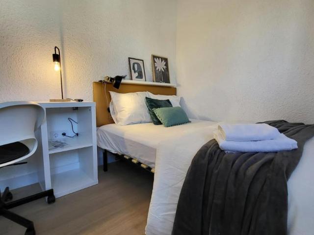 Alquiler 1 Dormitorio Shared Living/Roommate Alicante Alicante DLS102308682